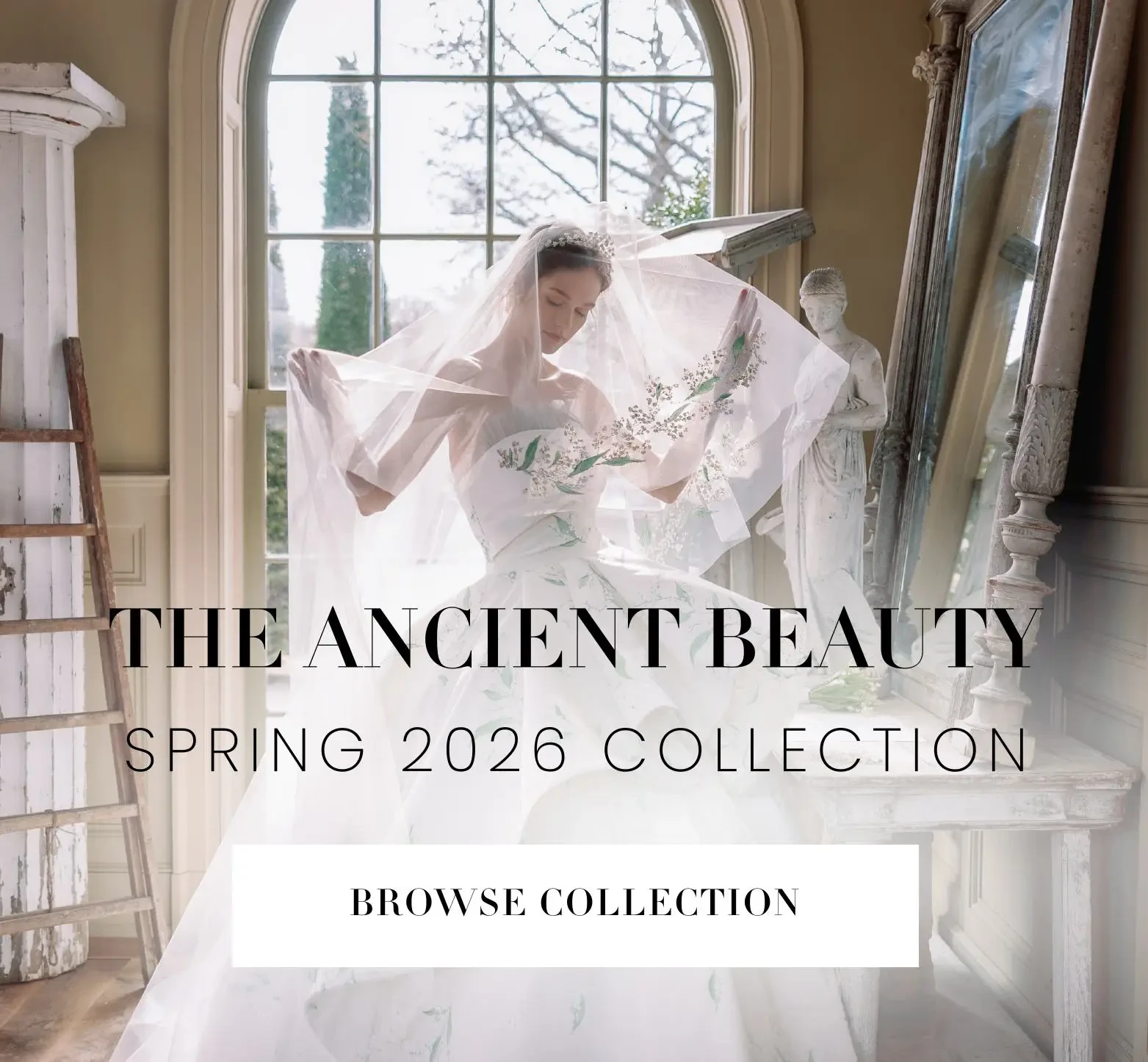 spring 2026 collection