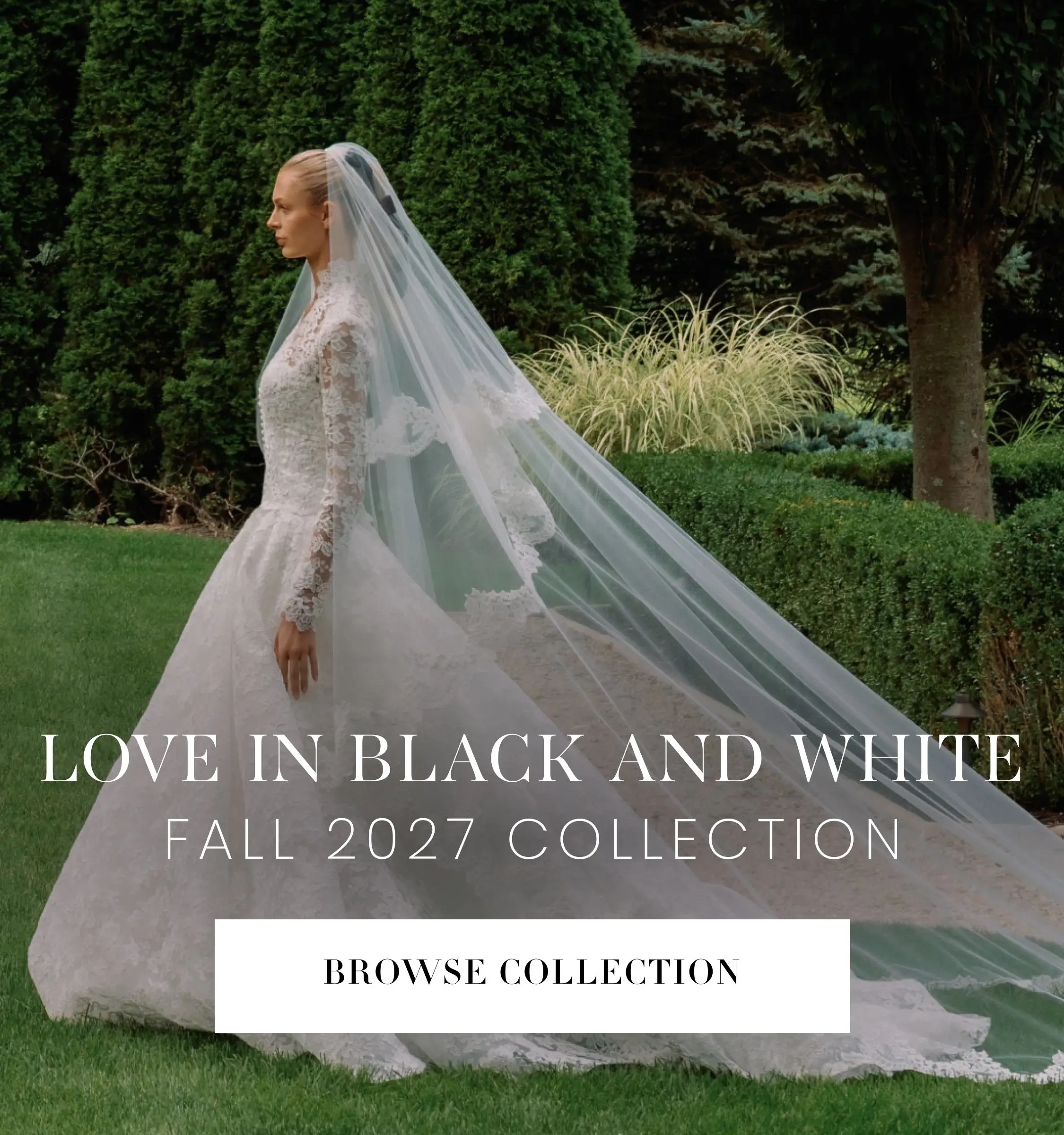 Sareh Nouri Love in Black and White Fall 2027 Collection